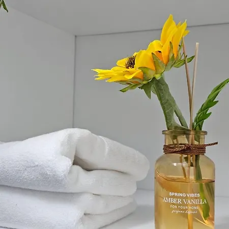 Apartment The Comfort Ever. Tirana