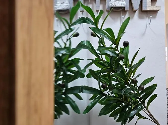 Parkside - Air Albania View *