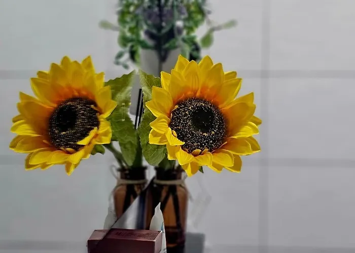 Parkside - Air Albania View Appartement *